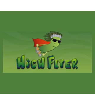 High Flyer Steam Key GLOBAL